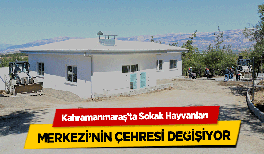 Kahramanmaraş’ta Sokak Hayvanları merkezi’nin çehresi değişiyor