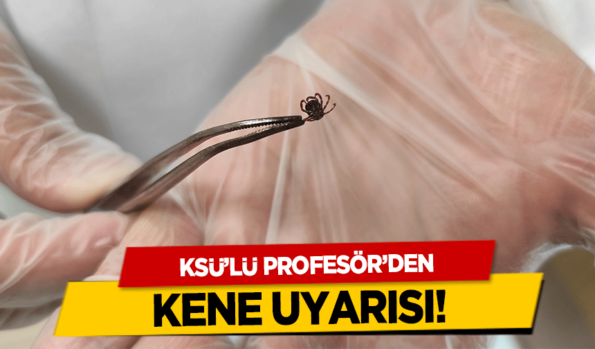 KSÜ’lü Profesör’den kene uyarısı!