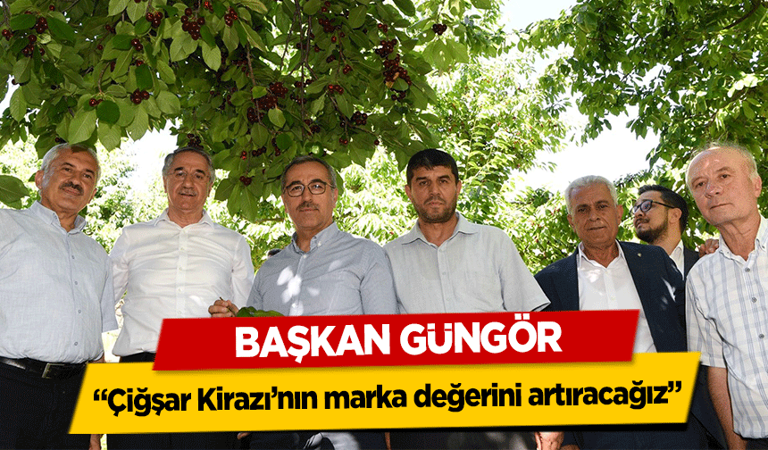 Başkan Güngör, ‘Çiğşar Kirazı’nın marka değerini artıracağız’