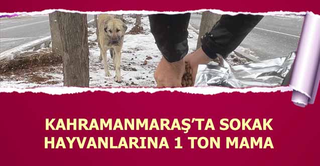 Kahramanmaraş’ta sokak hayvanlarına 1 ton mama