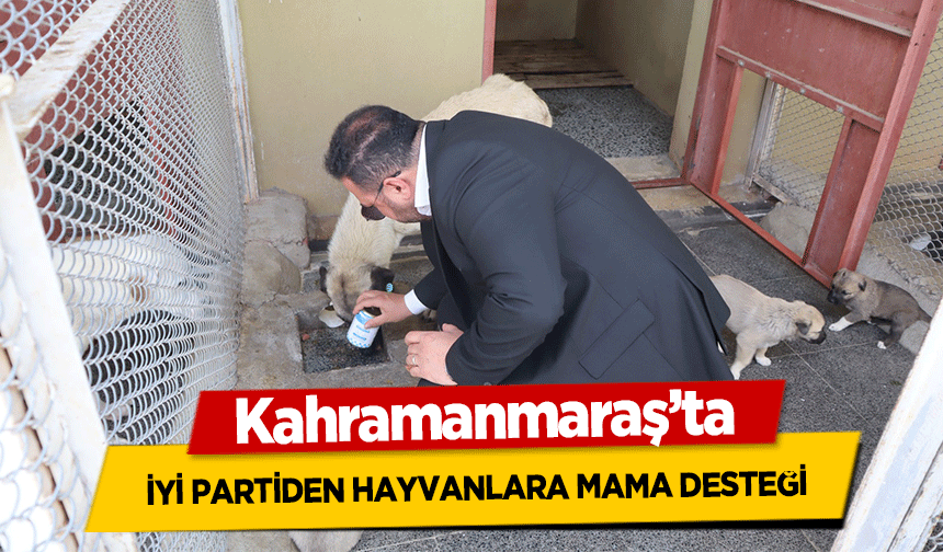 Kahramanmaraş’ta İyi Partiden Hayvanlara Mama Desteği