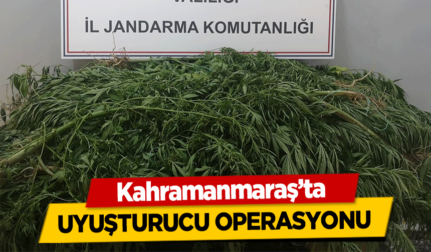 Kahramanmaraş’ta uyuşturucu operasyonu