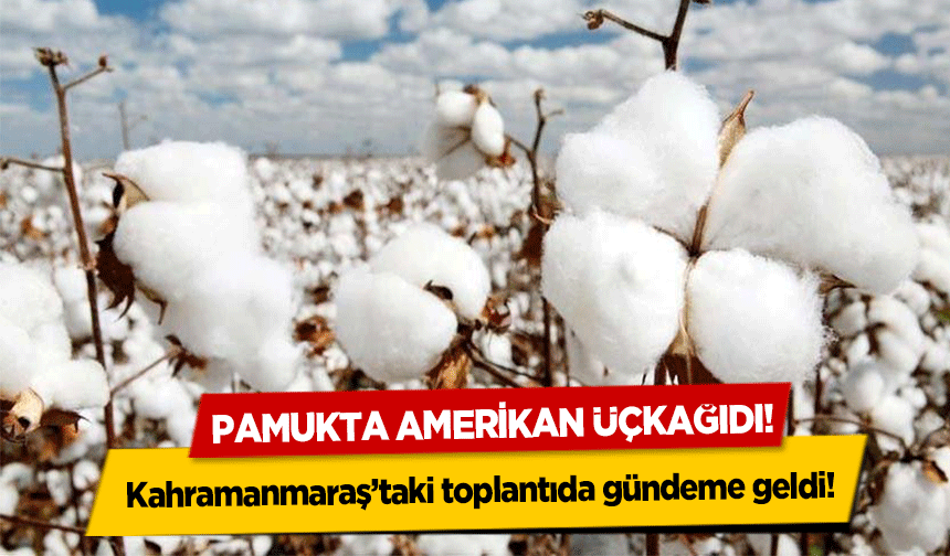 Pamukta Amerikan Üçkağıdı! Kahramanmaraş’taki toplantıda gündeme geldi!