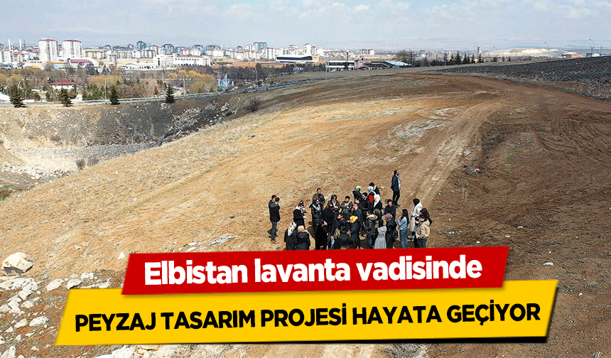 Elbistan lavanta vadisinde peyzaj tasarım projesi hayata geçiyor
