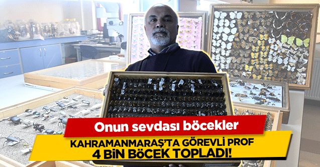 Kahramanmaraş’ta görevli profesör 4 bin böcek topladı!