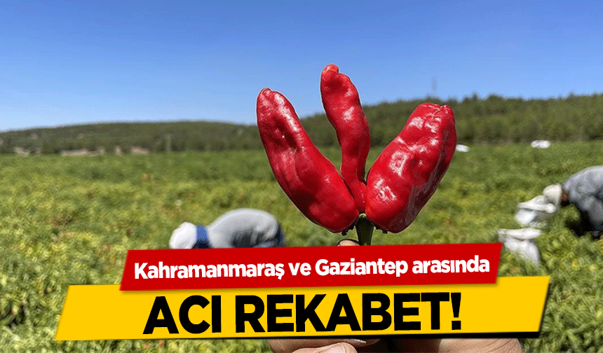 Kahramanmaraş ve Gaziantep arasında acı rekabet!