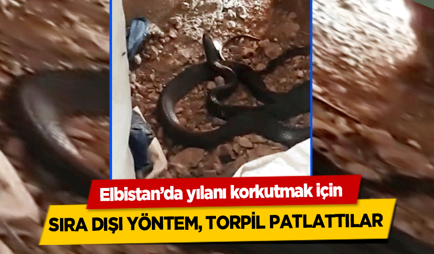 Elbistan’da yılanı korkutmak için torpil patlattılar