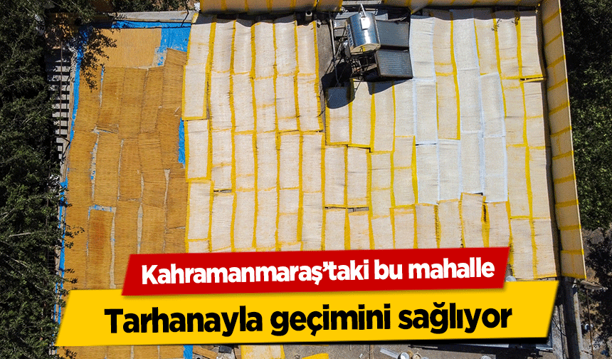 Kahramanmaraş’taki bu mahalle tarhanayla geçimini sağlıyor