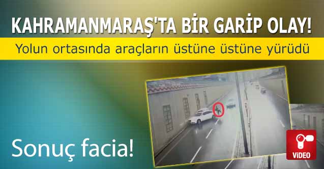 Kahramanmaraş'ta bir garip olay! Yolun ortasında araçların üstüne üstüne yürüdü