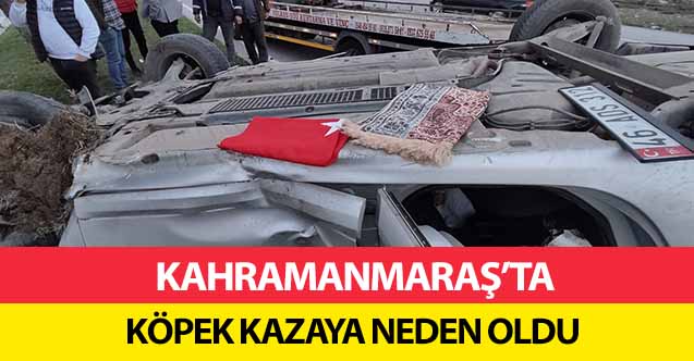Kahramanmaraş’ta köpek kazaya neden oldu