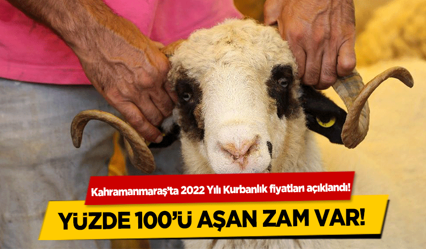 Kahramanmaraş’ta 2022 Yılı Kurbanlık fiyatları açıklandı! Yüzde 100’ü aşan zam var!
