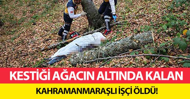 Kestiği ağacın altında kalan Kahramanmaraşlı işçi öldü!