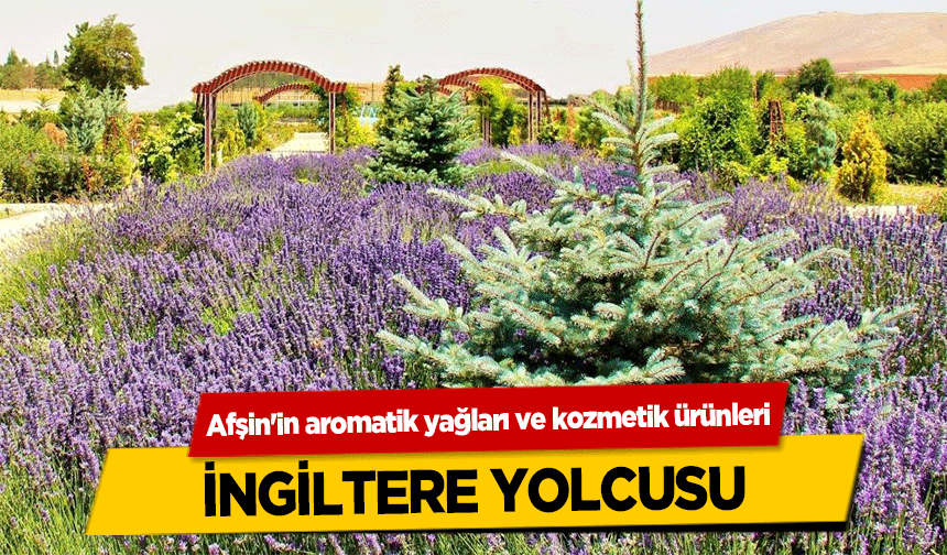 Afşin'in aromatik yağları ve kozmetik ürünleri İngiltere yolcusu