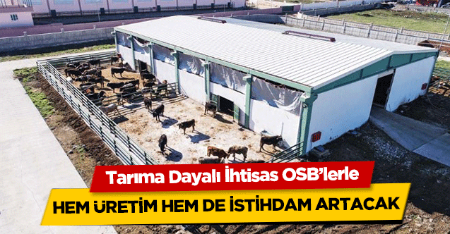 Tarıma Dayalı İhtisas OSB’lerle hem üretim hem de istihdam artacak