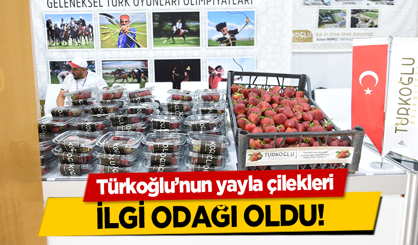 Türkoğlu’nun yayla çilekleri ilgi odağı oldu!
