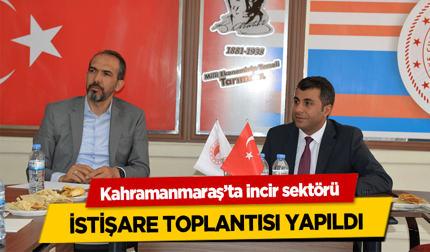 Kahramanmaraş’ta incir sektörü istişare toplantısı yapıldı