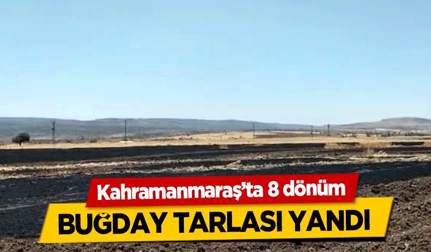 Kahramanmaraş’ta 8 dönüm buğday tarlası yandı