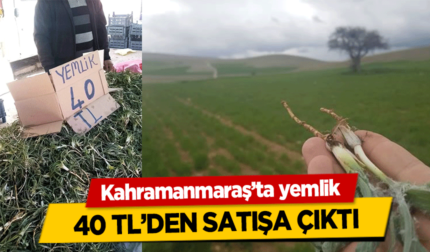 Kahramanmaraş’ta yemlik 40 TL’den satışa çıktı