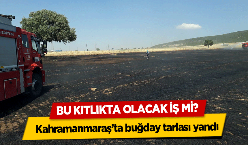 Bu kıtlıkta olacak iş mi? Kahramanmaraş’ta buğday tarlası yandı
