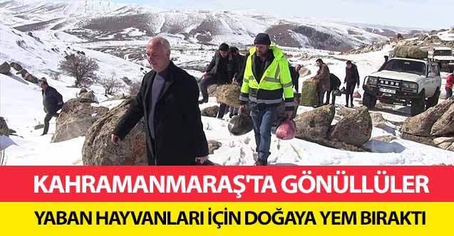 Kahramanmaraş'ta Gönüllüler Yaban Hayvanları İçin Doğaya Yem Bıraktı