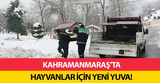Kahramanmaraş’ta hayvanlar için yeni yuva!