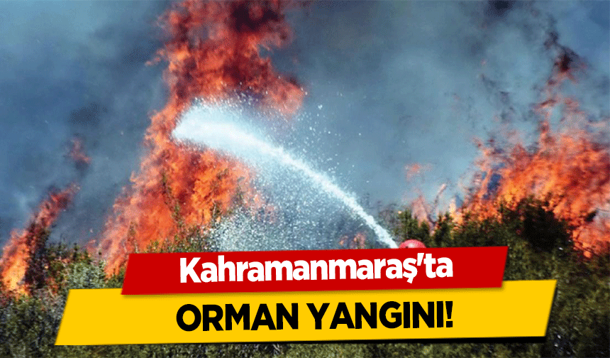 Kahramanmaraş'ta orman yangını!
