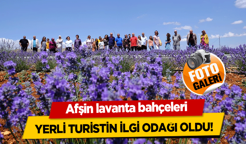 Afşin lavanta bahçeleri yerli turistin ilgi odağı oldu!
