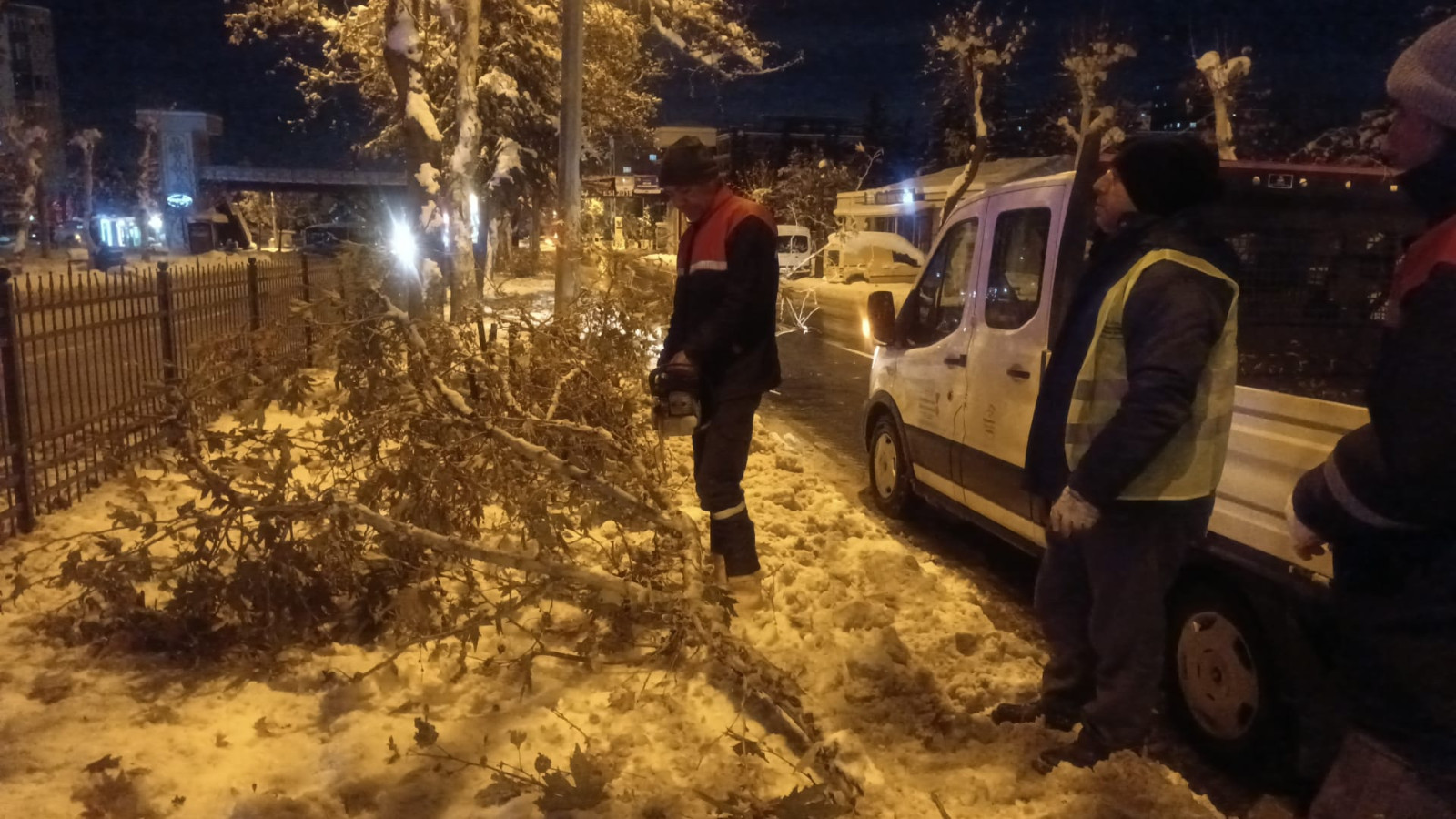 Kahramanmaraş'ta Kar Yüküne Dayanamayan Ağaçlara Büyükşehir Müdahalesi